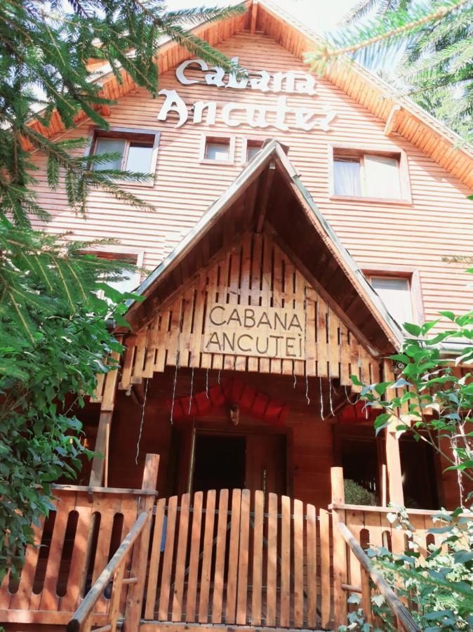 Cabana Ancutei Rucar  Exterior photo