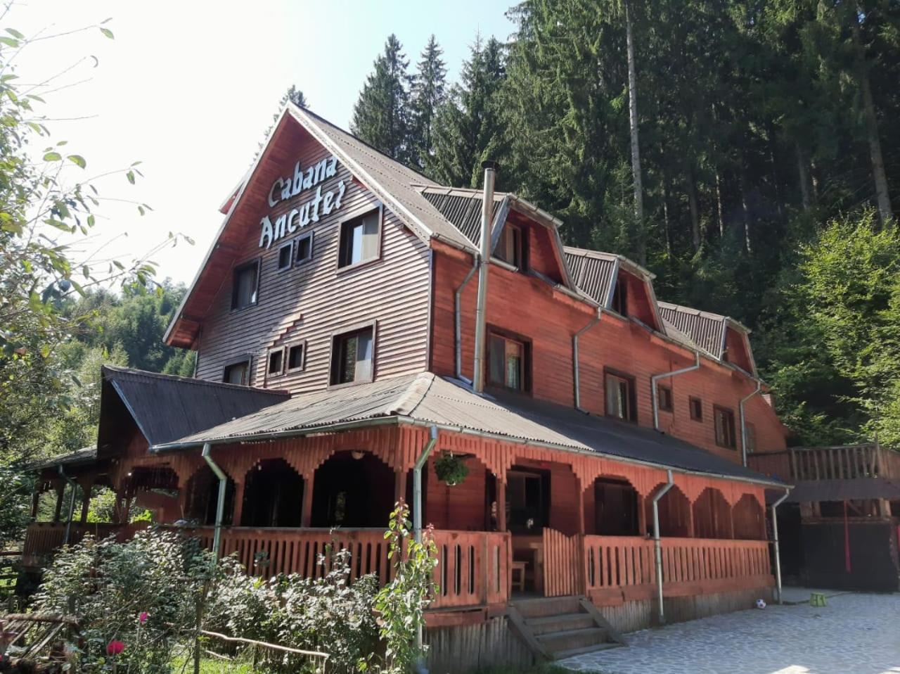 Cabana Ancutei Rucar  Exterior photo
