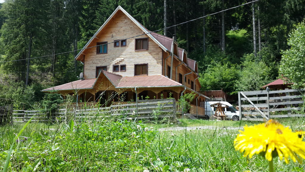 Cabana Ancutei Rucar  Exterior photo