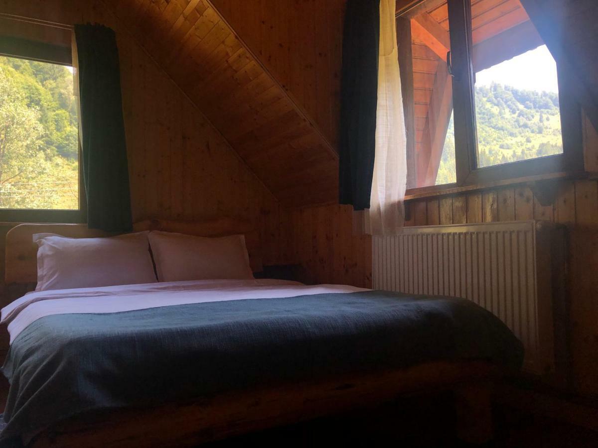 Cabana Ancutei Rucar  Exterior photo